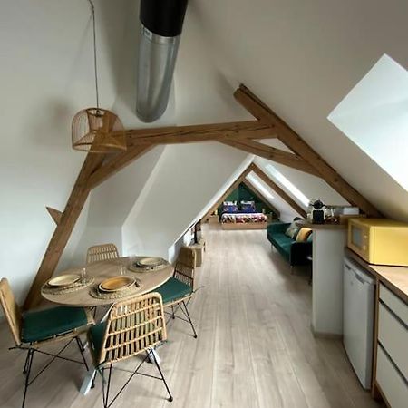 Ferienwohnung Les Toits D'Austerlitz Straßburg Exterior foto
